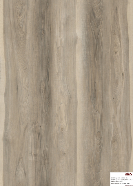 Rev&ecirc;tement de sol stratifi&eacute; VL88053