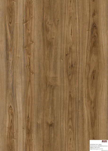 Rev&ecirc;tement de sol stratifi&eacute; VL88052